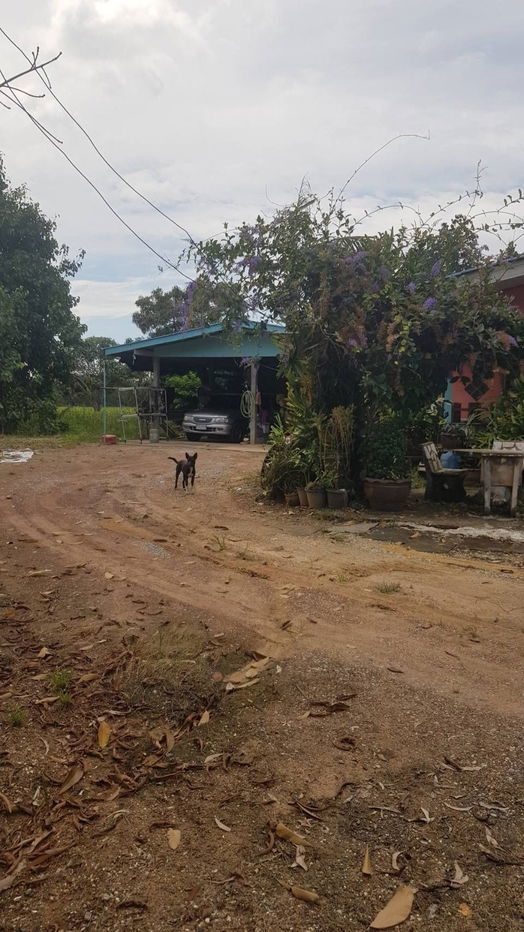picture 🔥 Land for Sale – 16 Rai 127 Sq. Wah 🌳 Prime Location near Wat Lad Bua, Ban Pho, Chachoengsao 🔥 - 4/11
