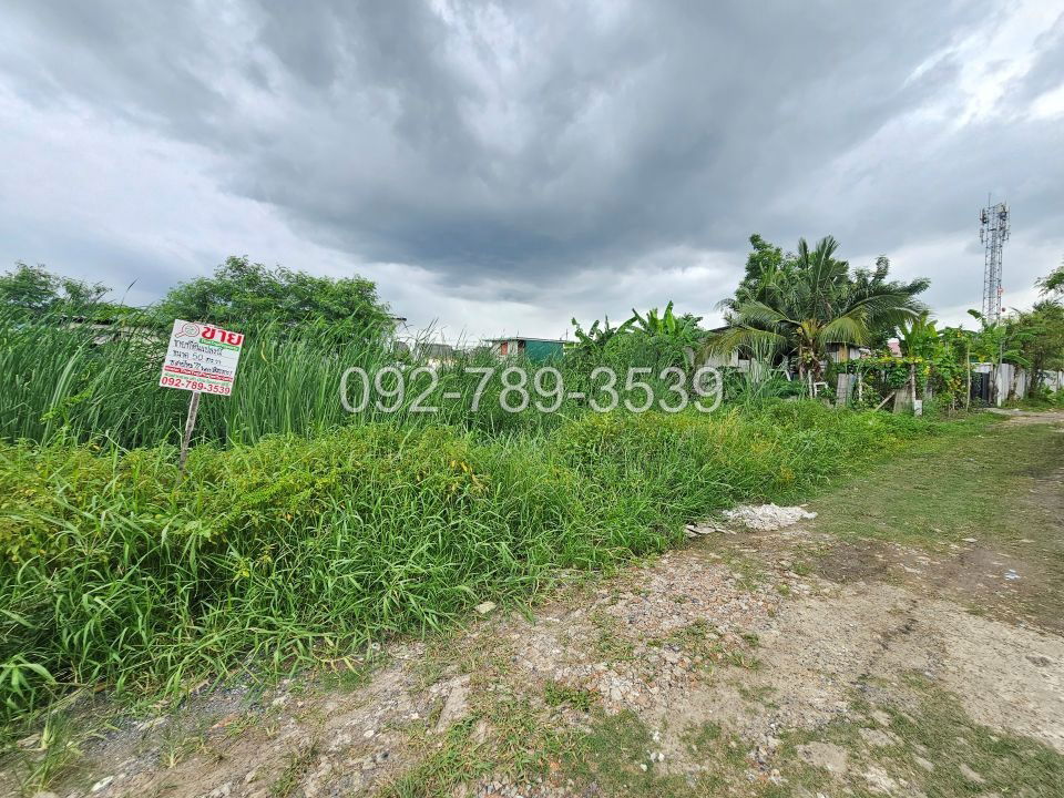 picture Land for Sale – Saimai 72 Alley 50 sq.war - 14/19