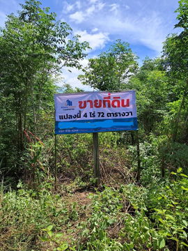 ขายที่ดินเปล่า 4-0-72 ไร่ ต.กลอนโด อ.ด่านมะขามเตี้ย จ.กาญจนบุรี