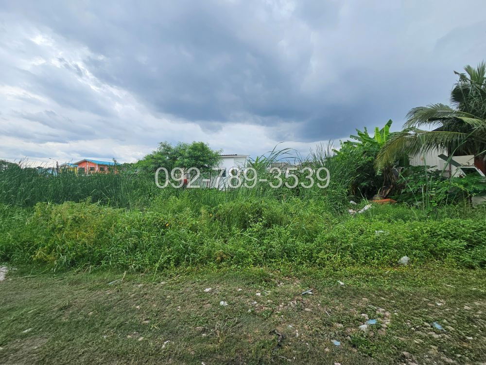 picture Land for Sale – Saimai 72 Alley 50 sq.war - 3/19