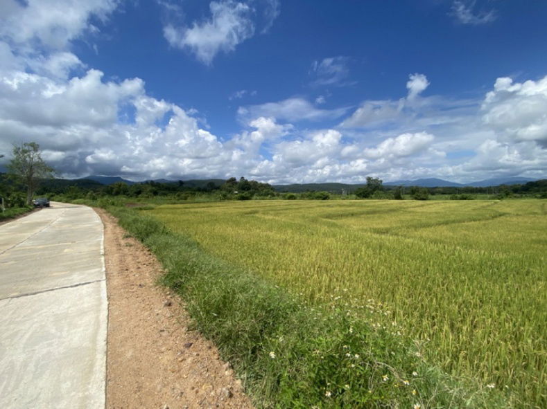 รูป ขาย ที่ดิน โอกาสทอง! ขายที่ดินแปลงสวย วิวภูเขา มีน้ำล้อมรอบ ใกล้โรงเรียนนานาชาติแม่ริม เชียงใหม่ ที่ดินนอกโครงการ 5 ไร่ 2 งาน 28 ตรว. - รูปที่ 4/10