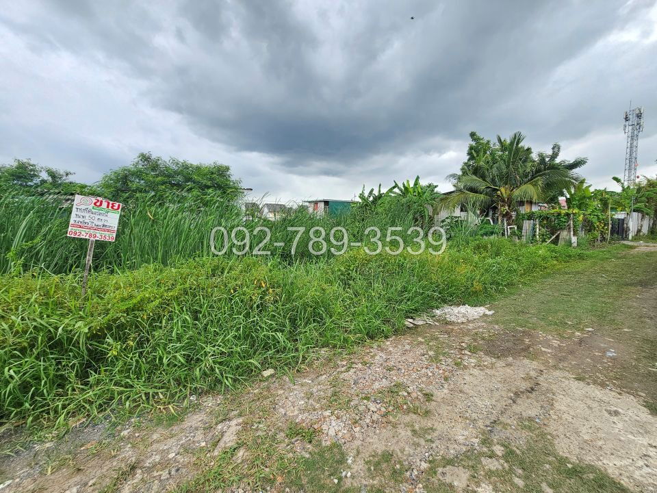 picture Land for Sale – Saimai 72 Alley 50 sq.war - 15/19