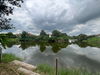 listing thumbnail image 22