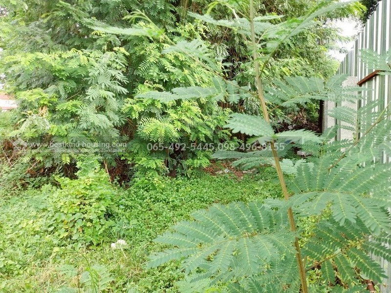 รูป ขายที่ดิน 100 ตร.วา ซ.สายไหม2 หรือ เข้าซอยพหลโยธิน54/1แยก8 เหมาะสร้างบ้านอยู่อาศัย เขตสายไหม ใกล้แยกคปอ. โรงเรียนฤทธิยะวรรณาลัย - รูปที่ 16/25