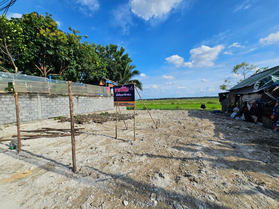 picture 🌳 Land for Sale (Filled) 60 sq.wah, Soi Tae Charoen 1, Lam Luk Ka Khlong 4 - 4/6