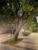 listing thumbnail image 12