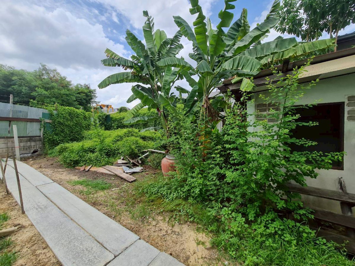 รูป ขายที่ดิน 82.5 ตร.ว ห่างจากปากซอยจรัญ 3 เพียง 650 เมตร - รูปที่ 3/8