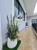 listing thumbnail image 16