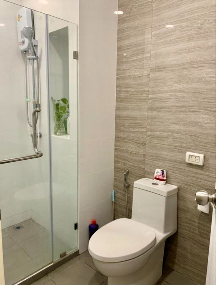 picture code : C12 Brixton Pet & Play Sukhumvit 107 - 8/10