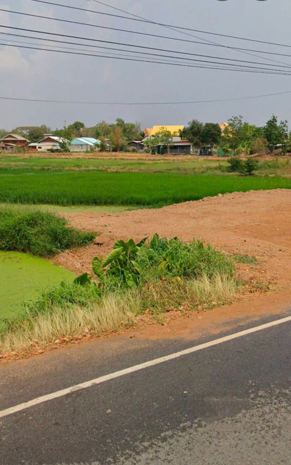 รูป ขายที่ดินตำบลหนองตะไก้อำเภอสูงเนินจังหวัดนครราชสีมา(บ้านขุดขมิ้น) ขนาดที่ดิน 2 ไร่2งานขายตร.ว - รูปที่ 6/6