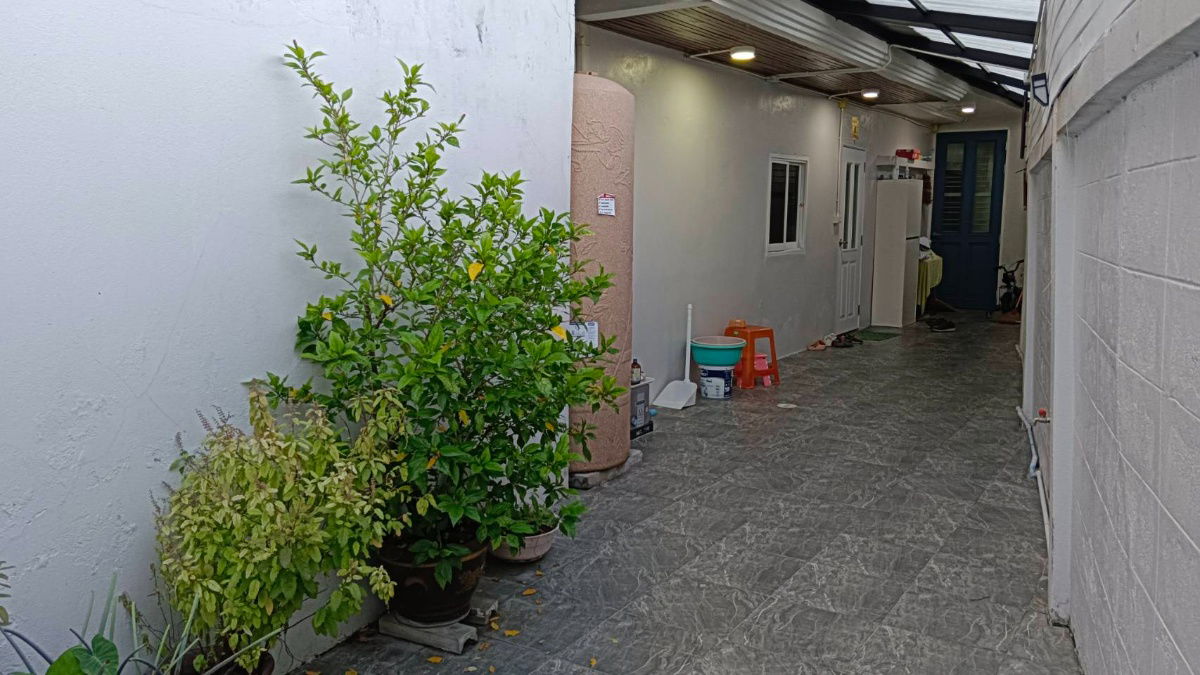 รูป 📣✨ บ้านวิวธรรมชาติ Prime Location – ติด BTS อ่อนนุช ✨📣 - รูปที่ 1/17