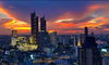 listing thumbnail image 14