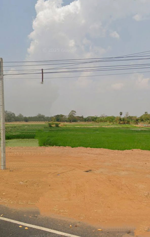 รูป ขายที่ดินตำบลหนองตะไก้อำเภอสูงเนินจังหวัดนครราชสีมา(บ้านขุดขมิ้น) ขนาดที่ดิน 2 ไร่2งานขายตร.ว - รูปที่ 5/6