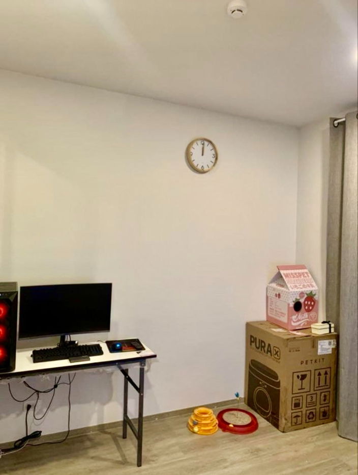 picture code : C12 Brixton Pet & Play Sukhumvit 107 - 3/10