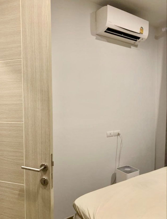 picture code : C12 Brixton Pet & Play Sukhumvit 107 - 5/10