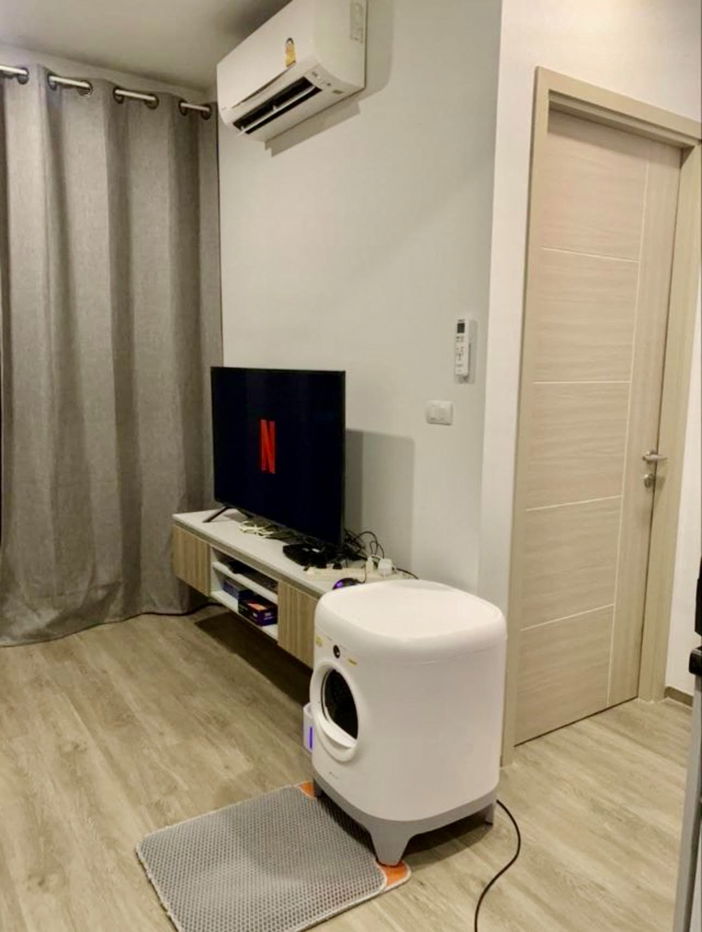 picture code : C12 Brixton Pet & Play Sukhumvit 107 - 2/10