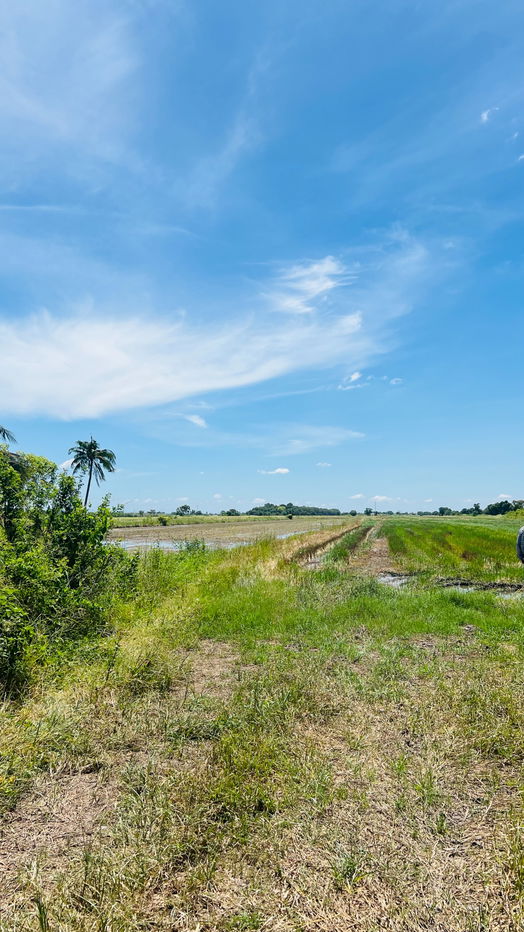 picture Land for Sale – 1 Rai Prime Location, Soi Khlong Ha East (Chao Mae Shrine), Khlong Luang, Pathum Thani  - 4/5