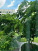 listing thumbnail image 13