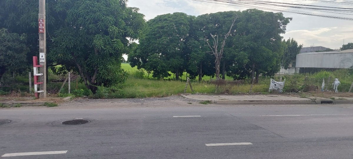 รูป ขายที่ดิน 43 ไร่ ผังเมืองสีเหลือง เหมาะทำโครงการจัดสรร ติดถนน บางกรวย-ไทรน้อย 75 เมตร 15 นาที จากสายสีม่วง - รูปที่ 4/7