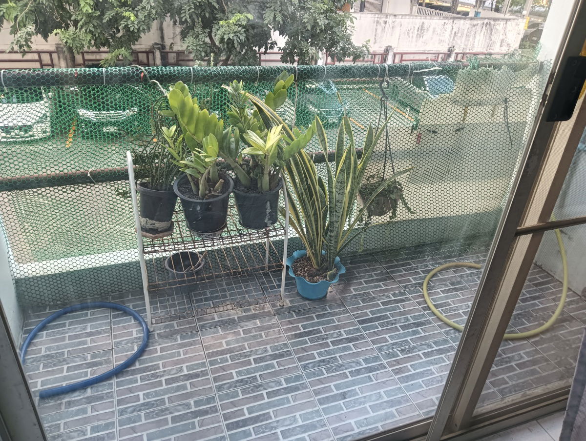 picture Budget Condo near MRT Srinuch & Central Bangna – Studio, 32 sqm, 4,500 THB - 7/8