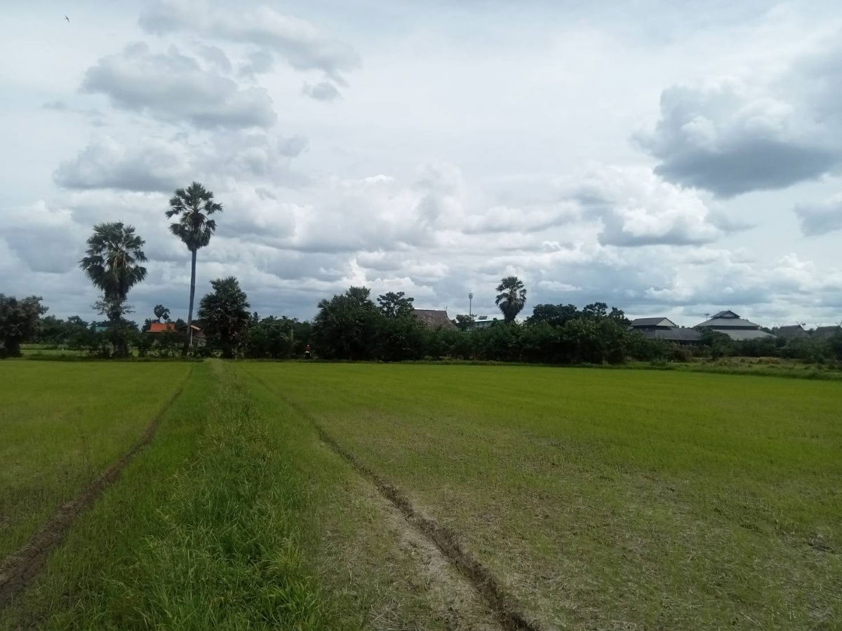 รูป ขายที่ดินเปล่า ชุมชนตลาด  เขาย้อย เพชรบุรี (เหมาะกับลงทุน+เกษตร) - รูปที่ 2/6