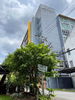 listing thumbnail image 18