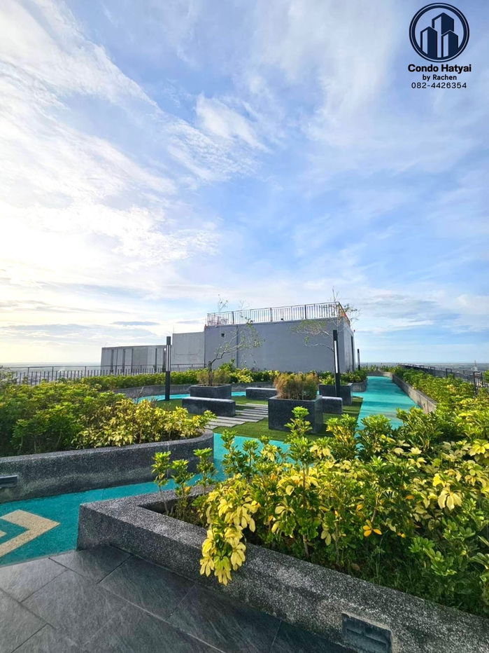 picture Condo Plus for rent, 30 meters, 1 bedroom, 1 bathroom, swimming pool view, 20th floor, room size 30 square meters, ready to move in. - 11/19