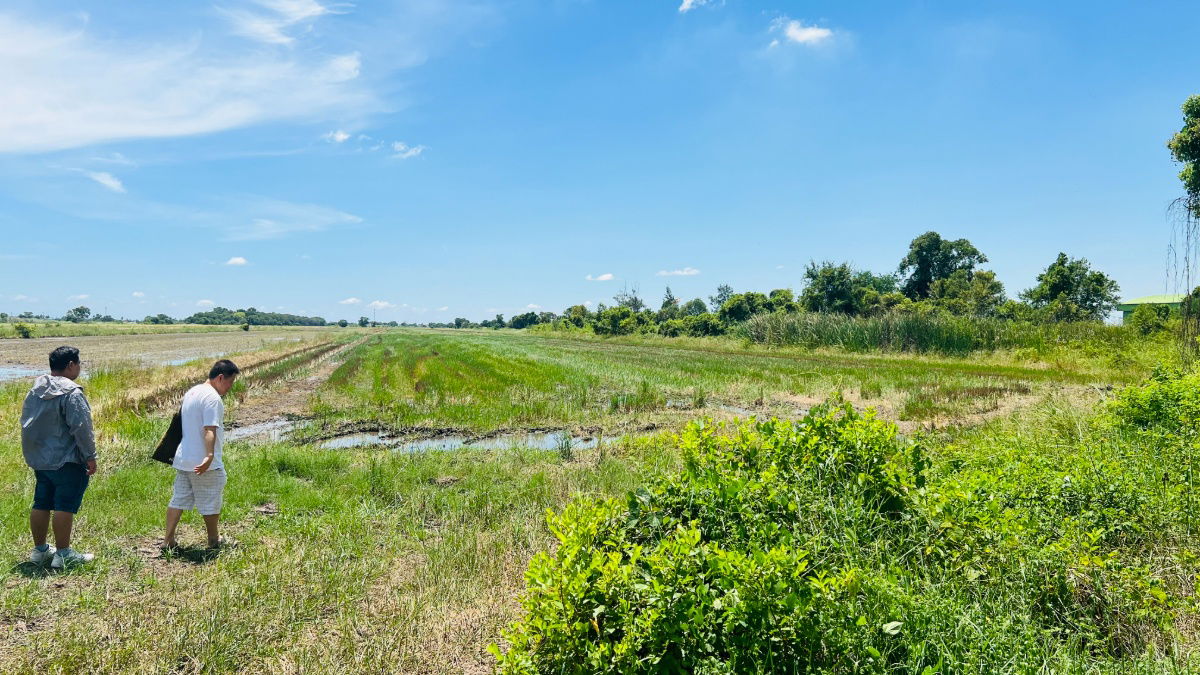 picture Land for Sale – 1 Rai Prime Location, Soi Khlong Ha East (Chao Mae Shrine), Khlong Luang, Pathum Thani  - 3/5
