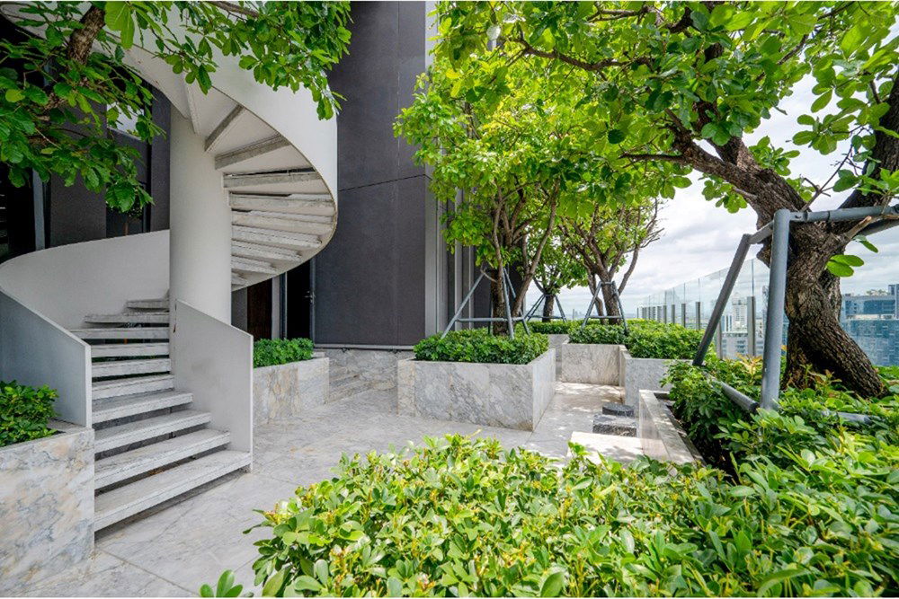 picture [920071001-14454] For Sale 1 Bed 58 Sqm Un Blocked View Beatniq Sukhumvit 32 - 12/17