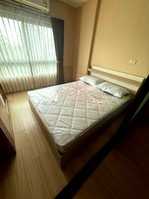 Condos for rent HomePro Rayong  : Socio condo floor 228 sqm rayong