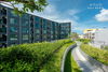 listing thumbnail image 13