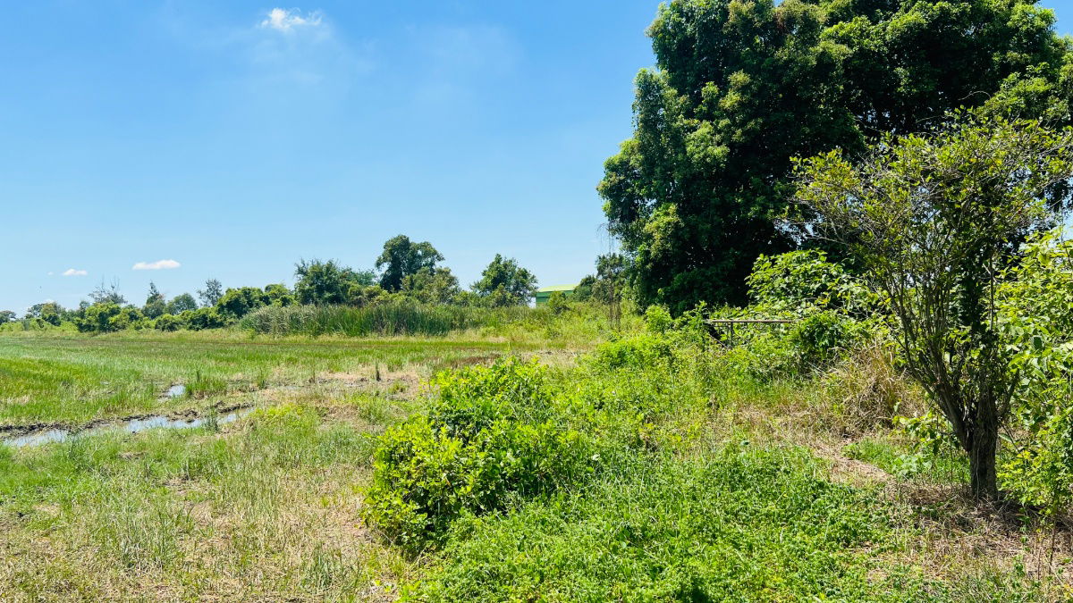 picture Land for Sale – 1 Rai Prime Location, Soi Khlong Ha East (Chao Mae Shrine), Khlong Luang, Pathum Thani  - 5/5