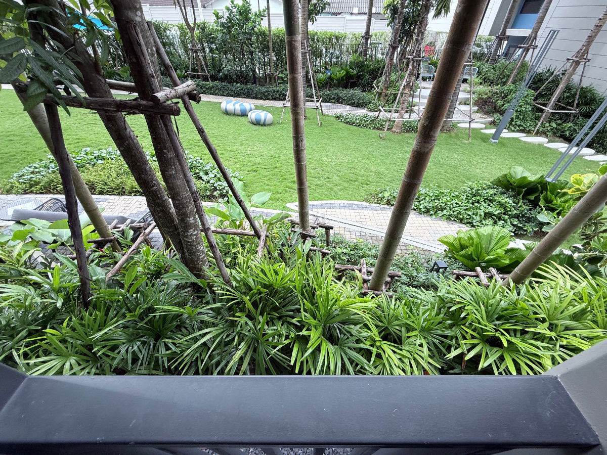 รูป ให้เช่า ดี คอนโด รีฟ 28ตร.ม ห้องมุม 15,000฿ | กะทู้ - ป่าตอง - รูปที่ 16/19