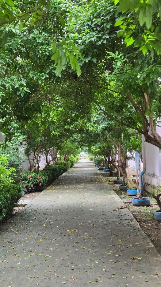 picture Owner selling, Eua-Athorn Romklao 2, fully furnished, ready to move in, near Airport Link Lat Krabang, Ramkhamhaeng, Minburi, Suvarnabhumi Airport - 13/18