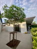 listing thumbnail image 20