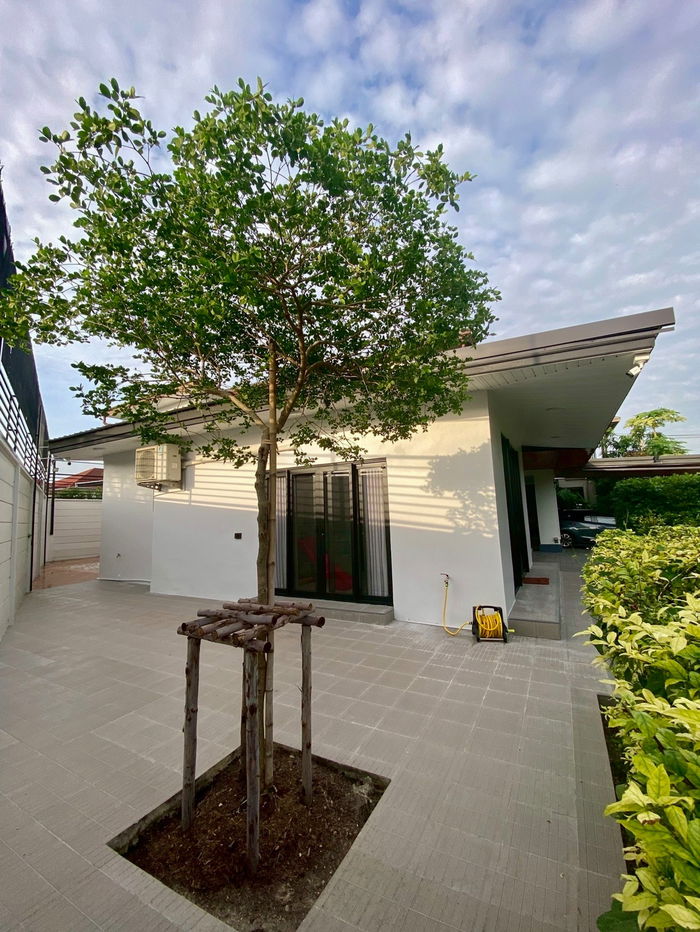 รูป 🏡 ให้เช่าบ้านเดี่ยวหลังใหญ่ The Plant Exclusique พัฒนาการ | พื้นที่เยอะ จอดรถได้ 5 คัน | ทำเลเชื่อมต่อเอกมัย-อ่อนนุช-ศรีนครินทร์ - รูปที่ 21/23