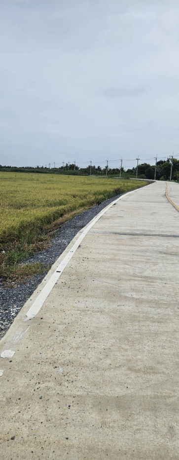 picture Land for sale, 30 rai 3 ngan, suitable for coconut plantation. - 4/5