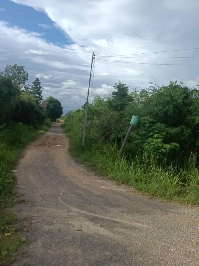 picture Land for sale, suitable for farming, beautiful, next to the road - 5/9