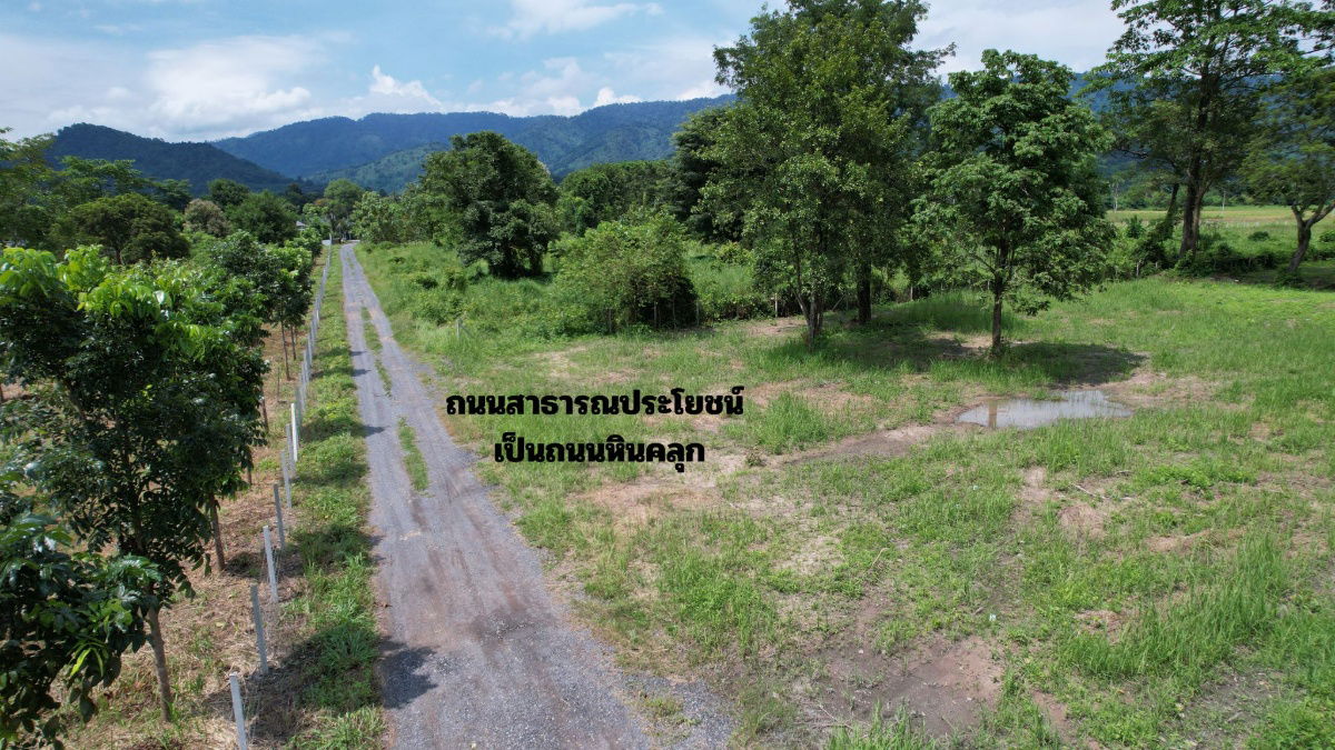รูป ขายที่ดิน 3 ไร่ พร้อมที่งอก วิวเขาชัด ติดคลองน้ำธรรมชาติ ถมแล้วเต็มพื้นที่ มีโฉนด - รูปที่ 10/19