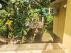 listing thumbnail image 10