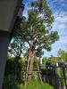 listing thumbnail image 26