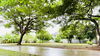 listing thumbnail image 24