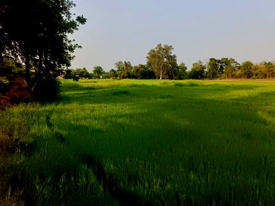 Land for sale Muang Ratchaburi Ratchburi : Beautiful area with a view, very natural.