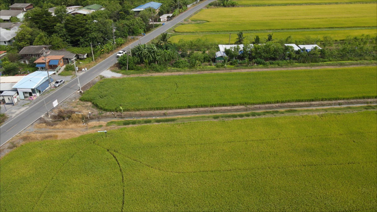 รูป  ขายต่ำกว่าราคาประเมินรัฐ 9-1-80 ไร่ ลำลูกกา คลอง 8 - รูปที่ 10/19