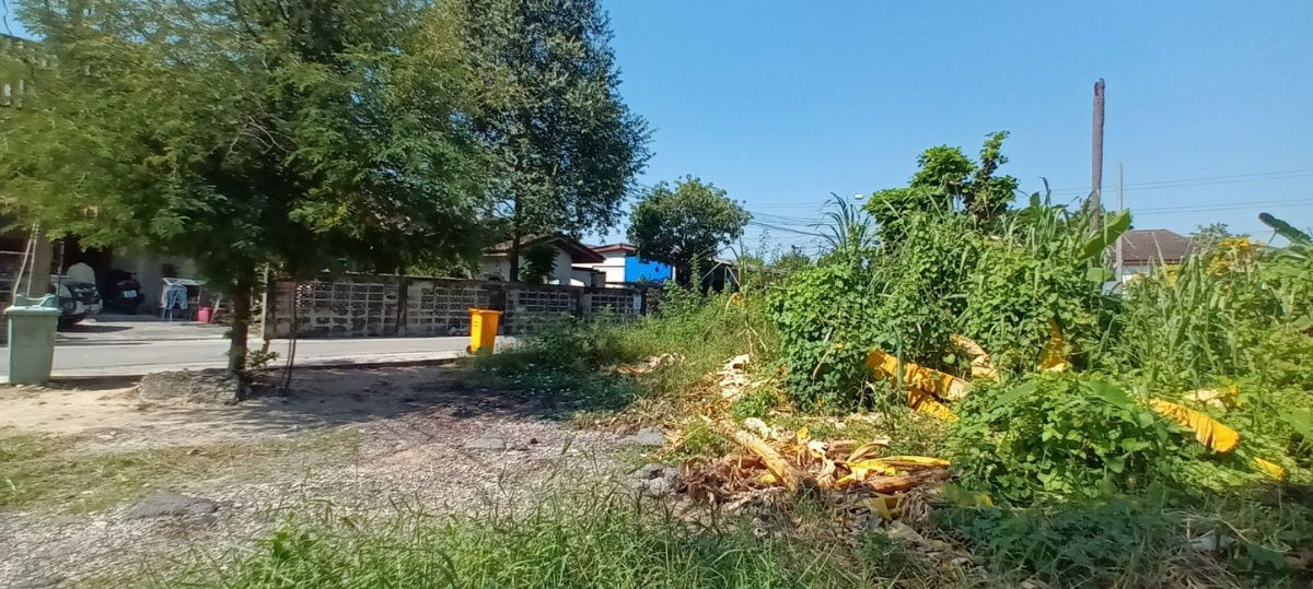 picture Land for sale at the corner of Soi Petchkasem 69*Sawaddee 1, 99 sq m., multiple entrances and exits. - 4/5
