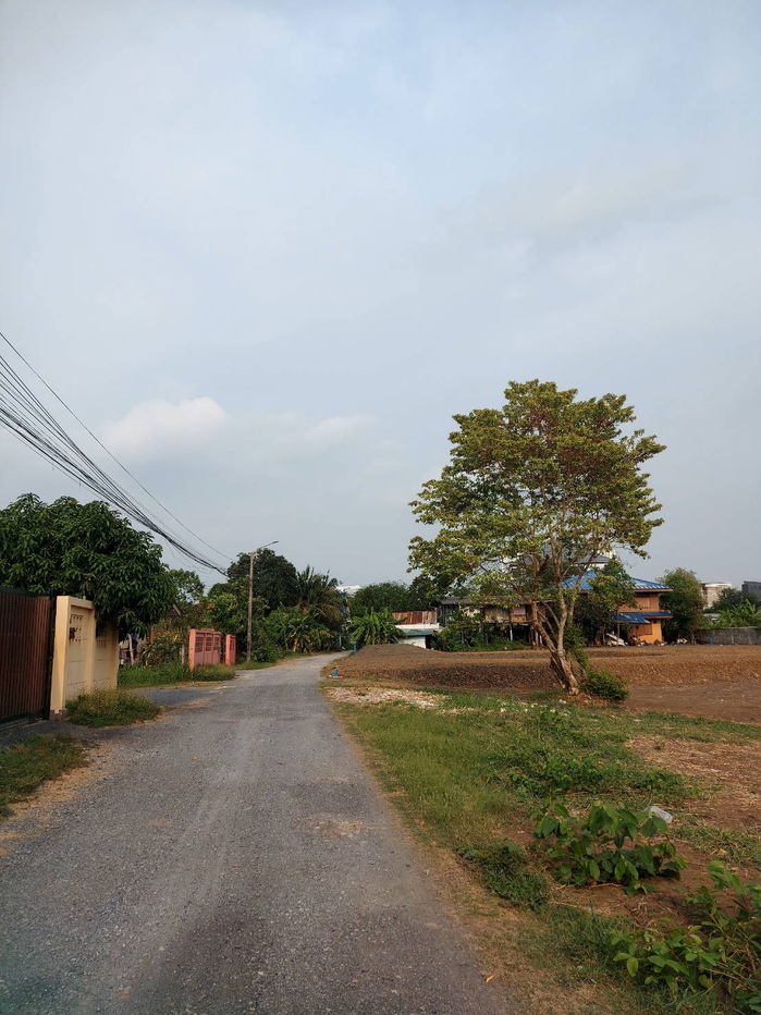 picture Land for Sale – 247 Sq. Wah of Vacant Land in Soi Mistine (Ratchaphruek 4 Yak 1), Saphan Sung District - 7/8