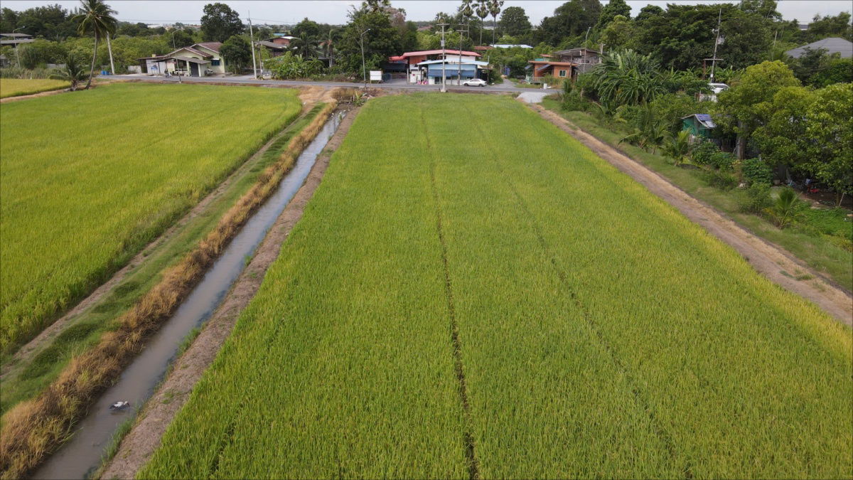 รูป  ขายต่ำกว่าราคาประเมินรัฐ 9-1-80 ไร่ ลำลูกกา คลอง 8 - รูปที่ 6/19