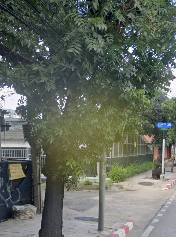 รูป ขายบ้านแฝด ราคาถูก ติดถนนนวมินทร์ ทำเลดี ใกล้ตลาดปางกะปิ เดินทางสะดวก - รูปที่ 3/3