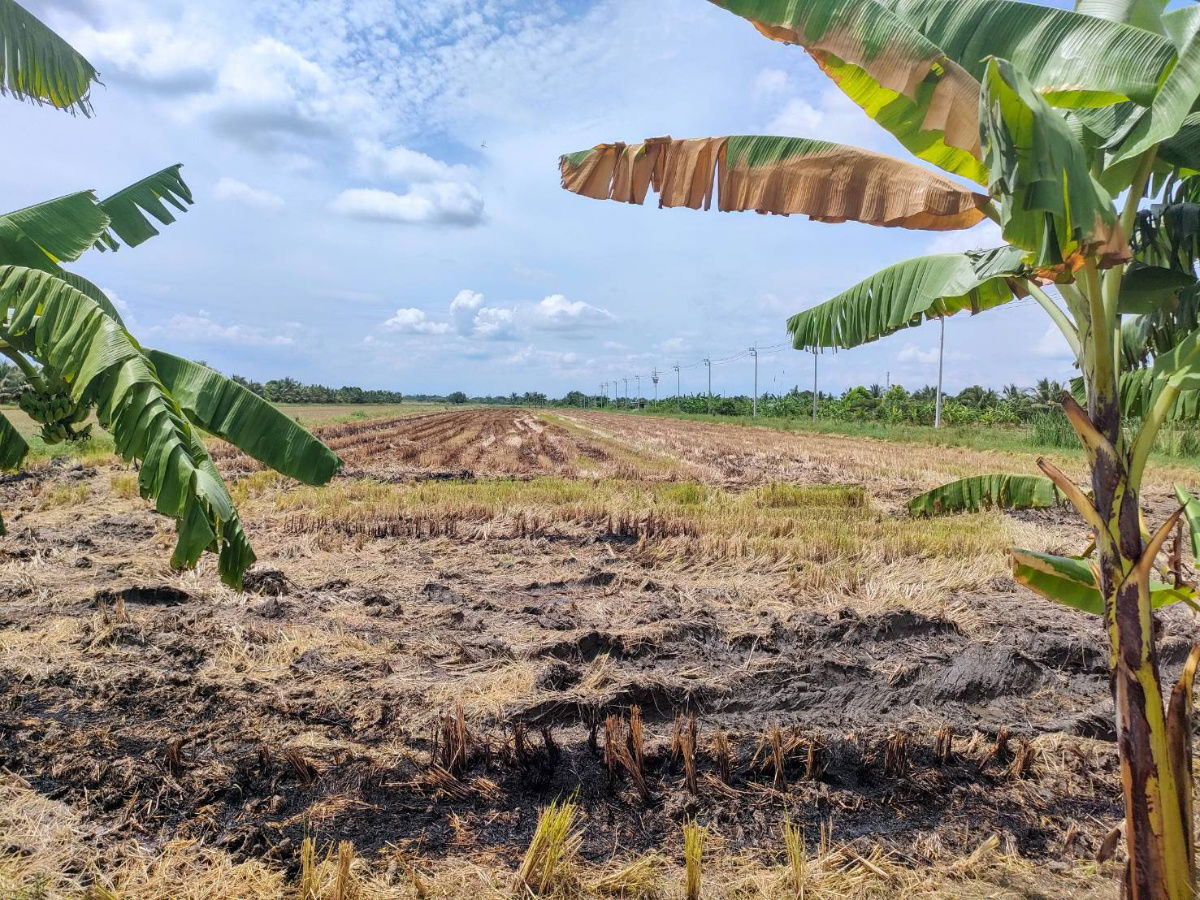 picture Vacant land for sell Nong Chok District Bangkok - 9/11