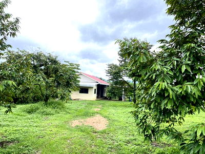 Land for sale Pak Tho Ratchburi : Garden for sale, there are many things in it, 25 rai.